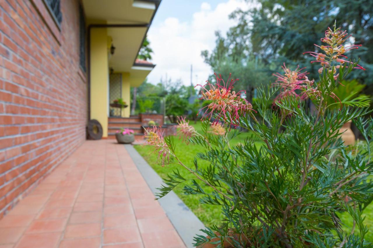 Hotel Sicily'S View Mascalucia Exterior foto